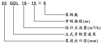 GDL型立式多級(jí)泵型號(hào)意義.jpg